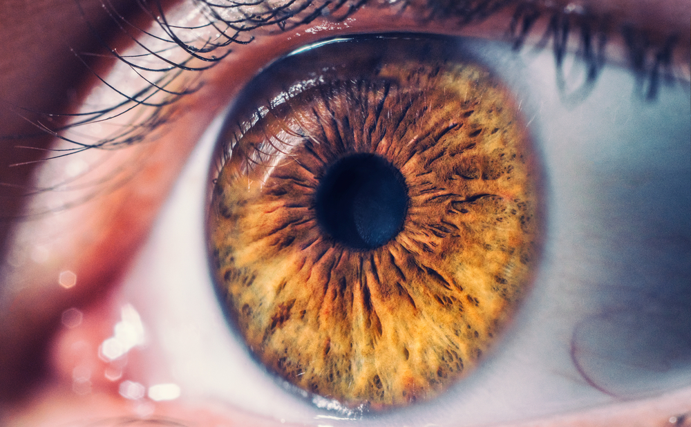 What to Know About the AcrySof IQ PanOptix Toric Lens